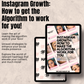 The Ultimate Instagram Growth Guide Ebook: How to Get the Algorithm to work for You!